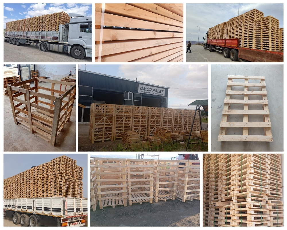 Bere Regis Wooden Pallets, Buy Wooden Pallets Wholesale